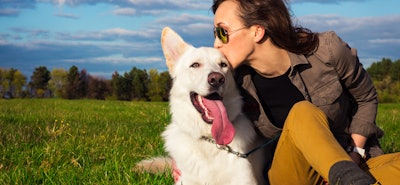 5 Quick Checks to Ensure Your Pet is in Good Health